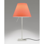 COSTANZA TAVOLO - ROSA MISTICO ACCESA