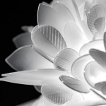 Slamp Veli FOLIAGE Mini Plafoniera Applique 36 cm