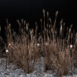 Lombardo Linfa 120 h 112 cm