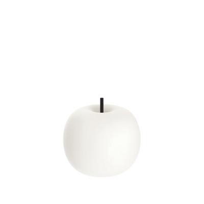 Kdln Kushi 16 Tavolo