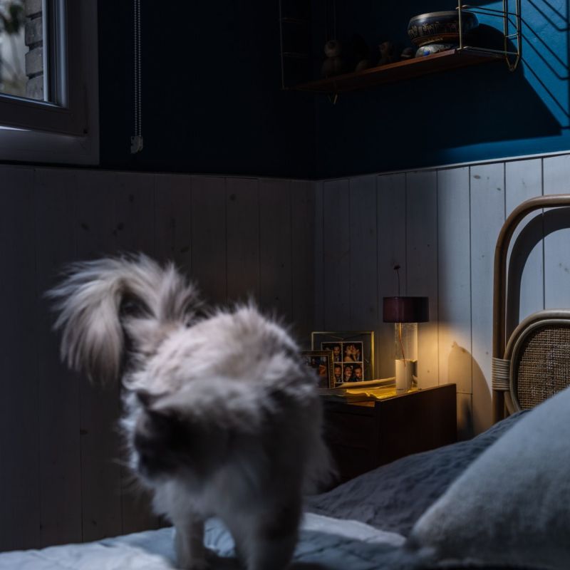 Foscarini Fleur lampada LED portatile a batteria ricaricabile