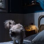 Foscarini Fleur lampada LED portatile a batteria ricaricabile