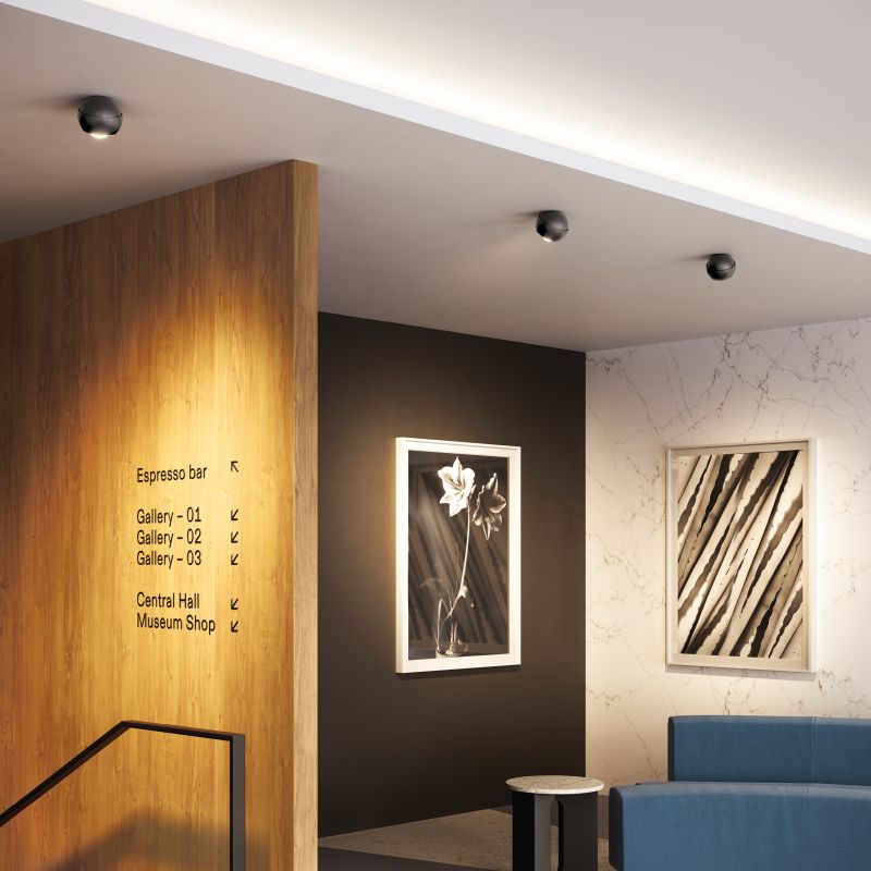 LODES Spider soffitto